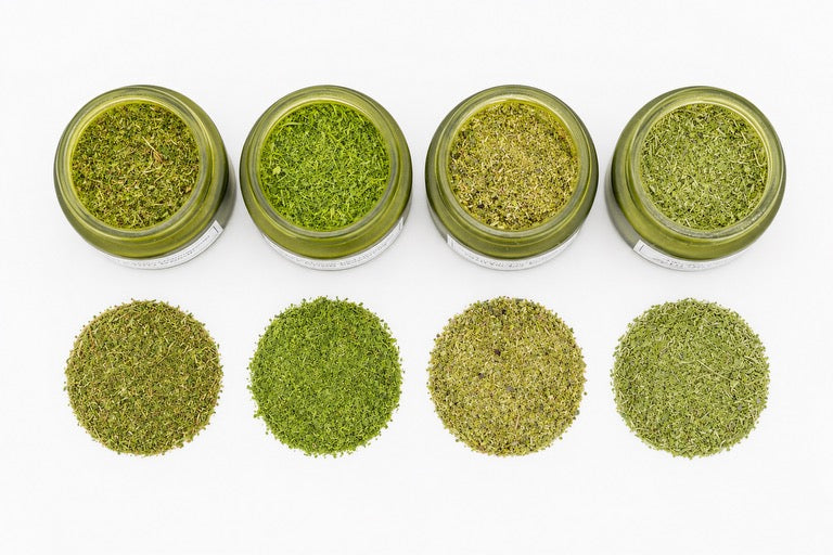 Southwest Spicy Green Seasoning